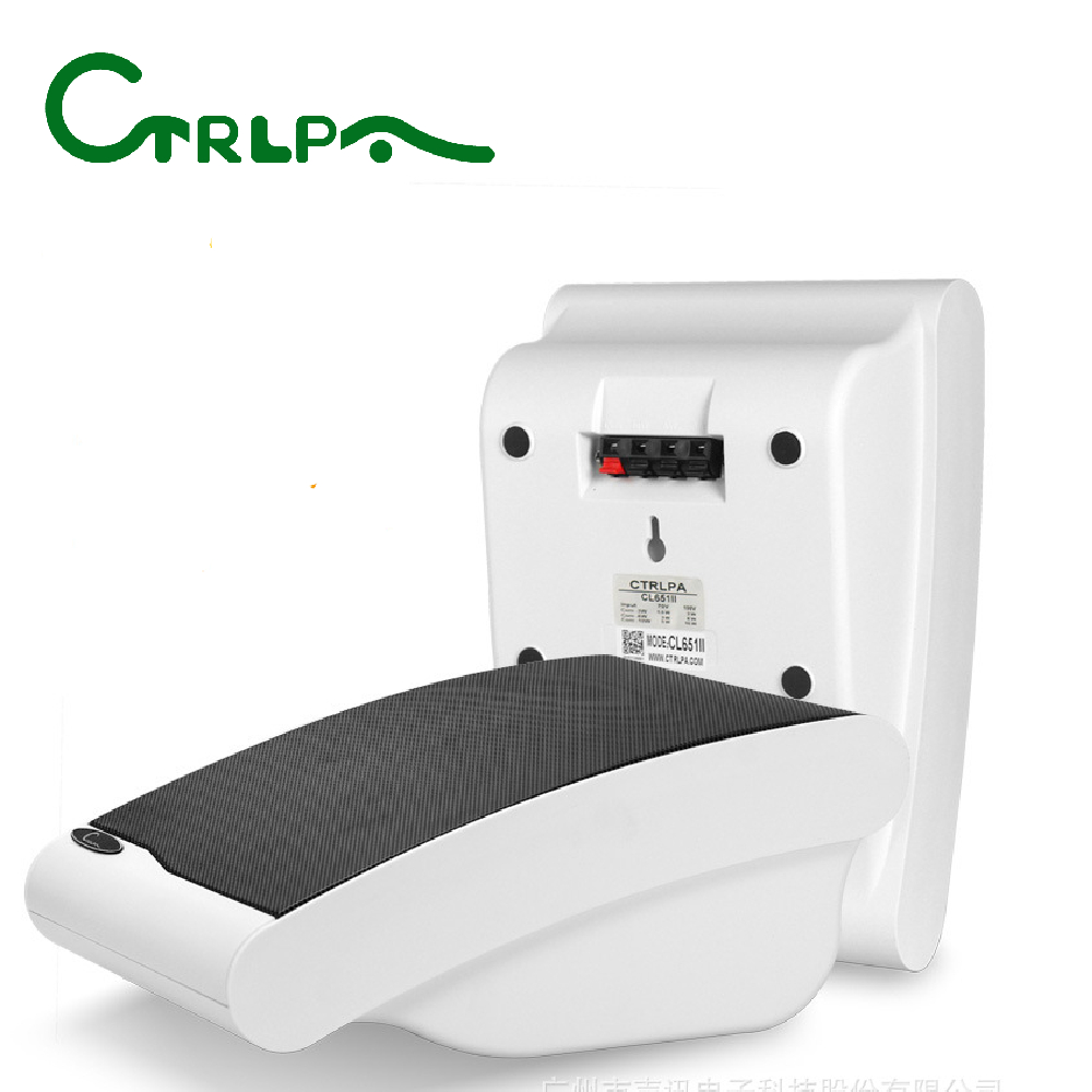 CTRLPA CL651II High Quality conference speaker Compact Wall-Mount Speaker