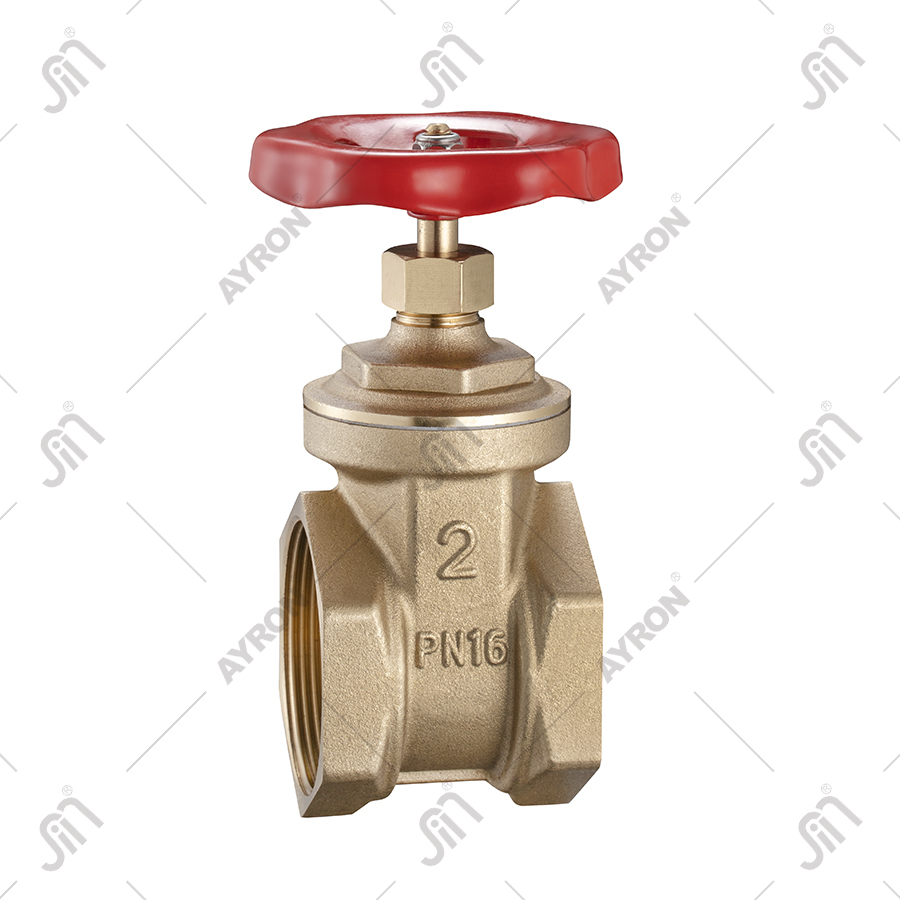 Ayron Brass Gate Valve