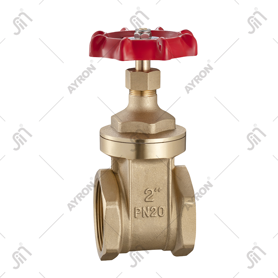 Ayron Brass Gate Valve