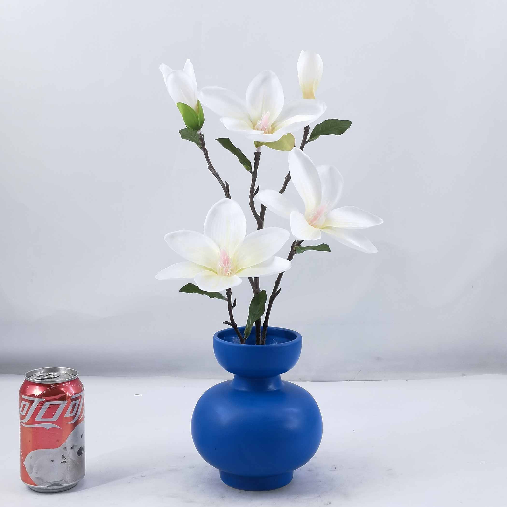 44cm H Magnolia in ceramic pot