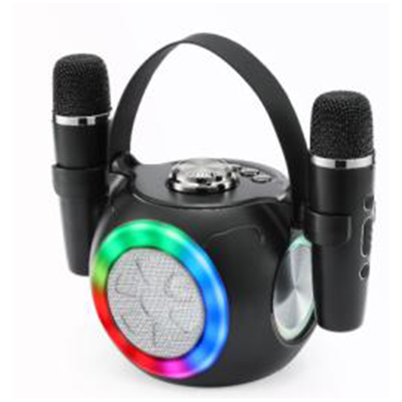 Top Quality Party Karaoke Bluetooth Speaker Dj Speaker with Dual Wireless Microphone