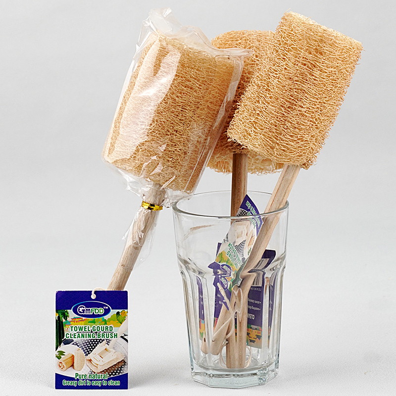 Loofah cleaning brush