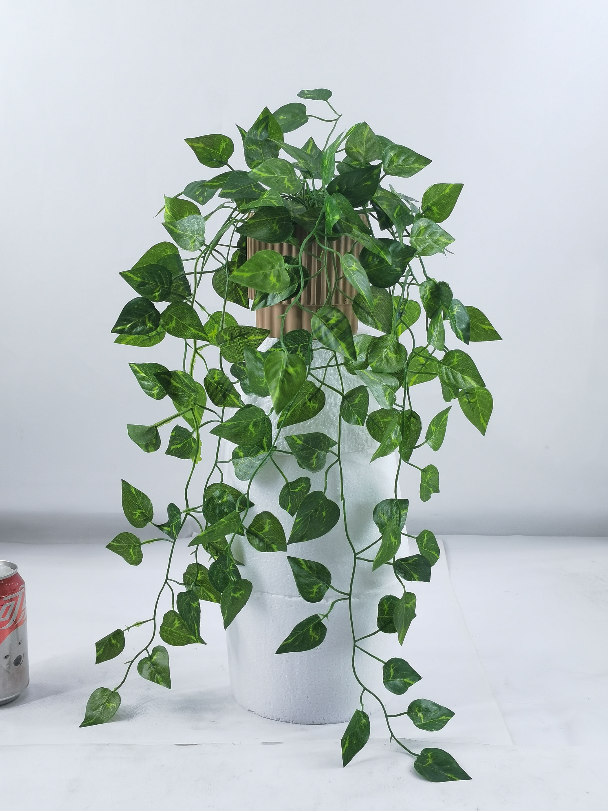 57cm H Leaf in cement pot