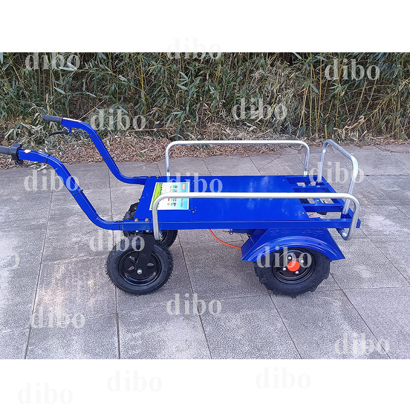 Dibo electric trolley