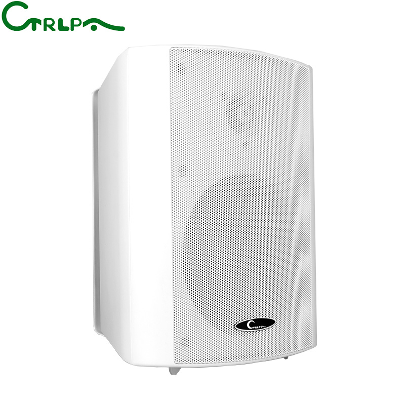 CTRLPA CL613W 40W Wall Mounted Speaker PA System Hanging Speaker is suitable for conference system