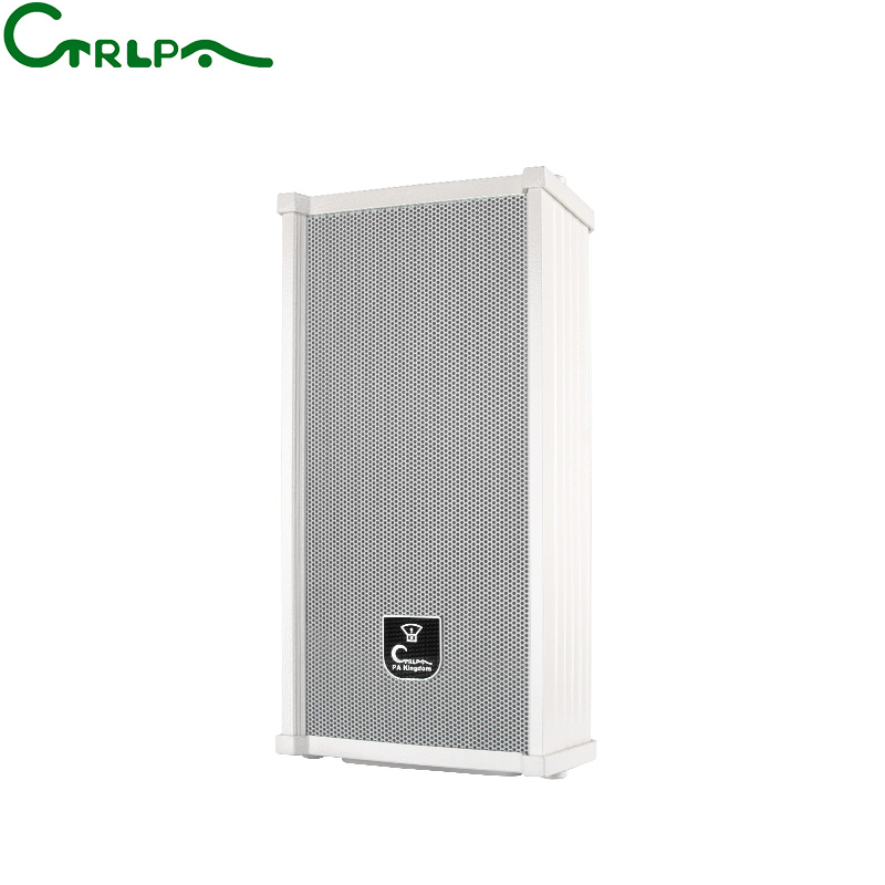CTRLPA CS381 Speaker Column - High Performance for Indoor and Outdoor Use 10W