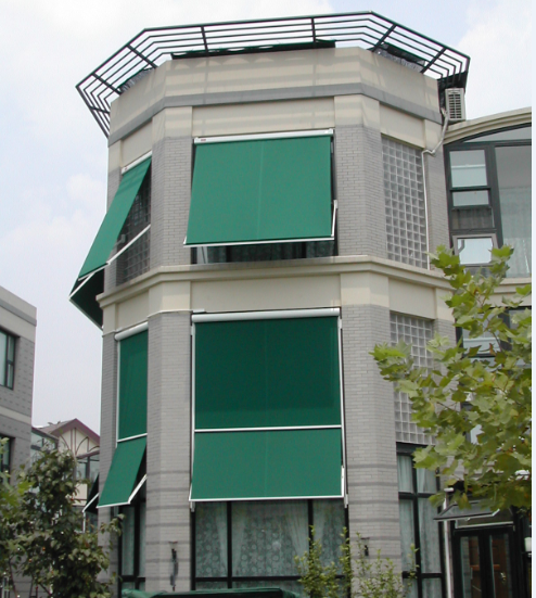 Davisawning Electric Sunshade System retractable for outdoor window awning