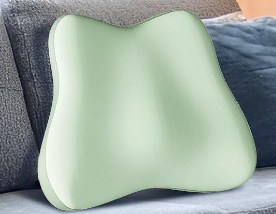 Cushion