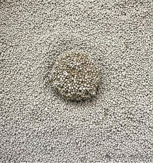 Bentonite Cat Litter