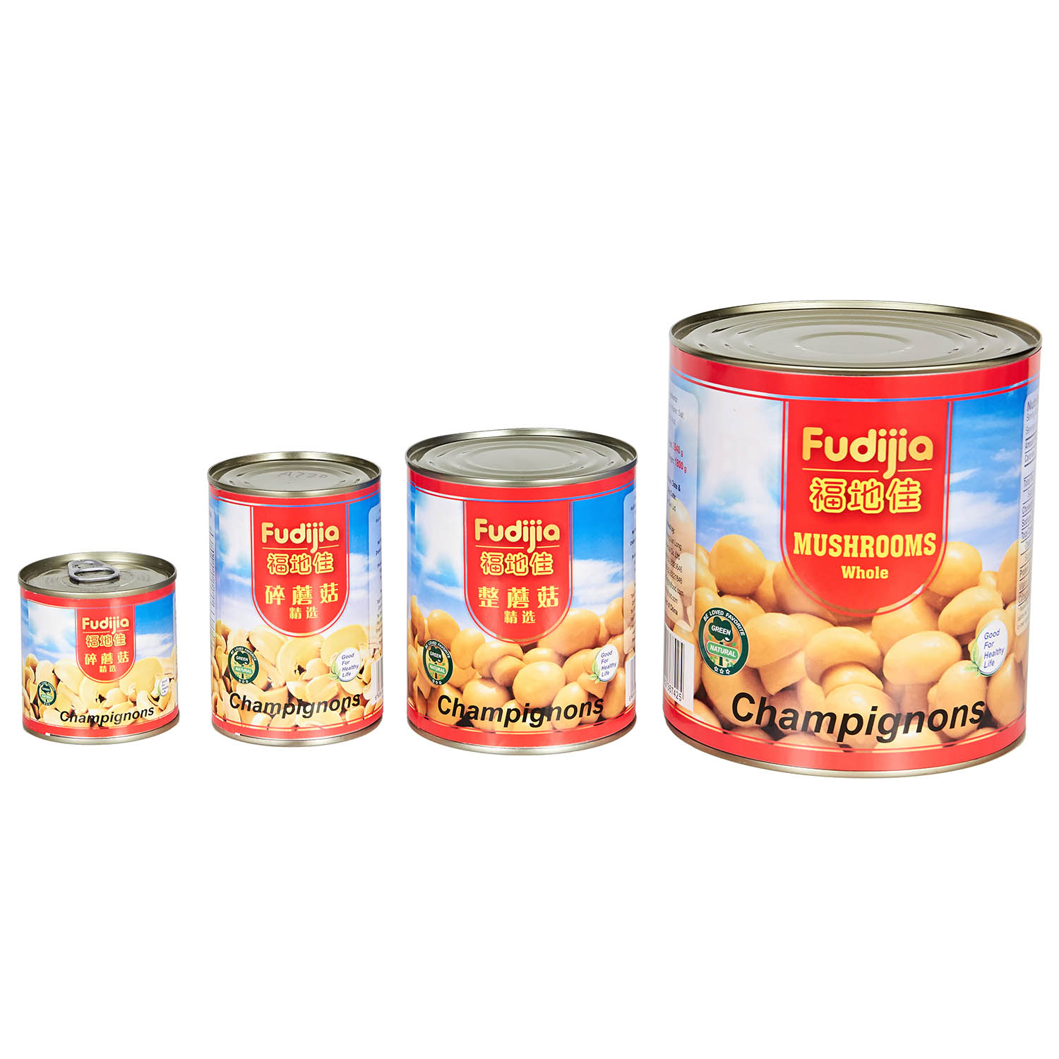 TIANJIN HENG JUN LONG COMMERCIAL CO.,LTD. – raqueta de tenis 2