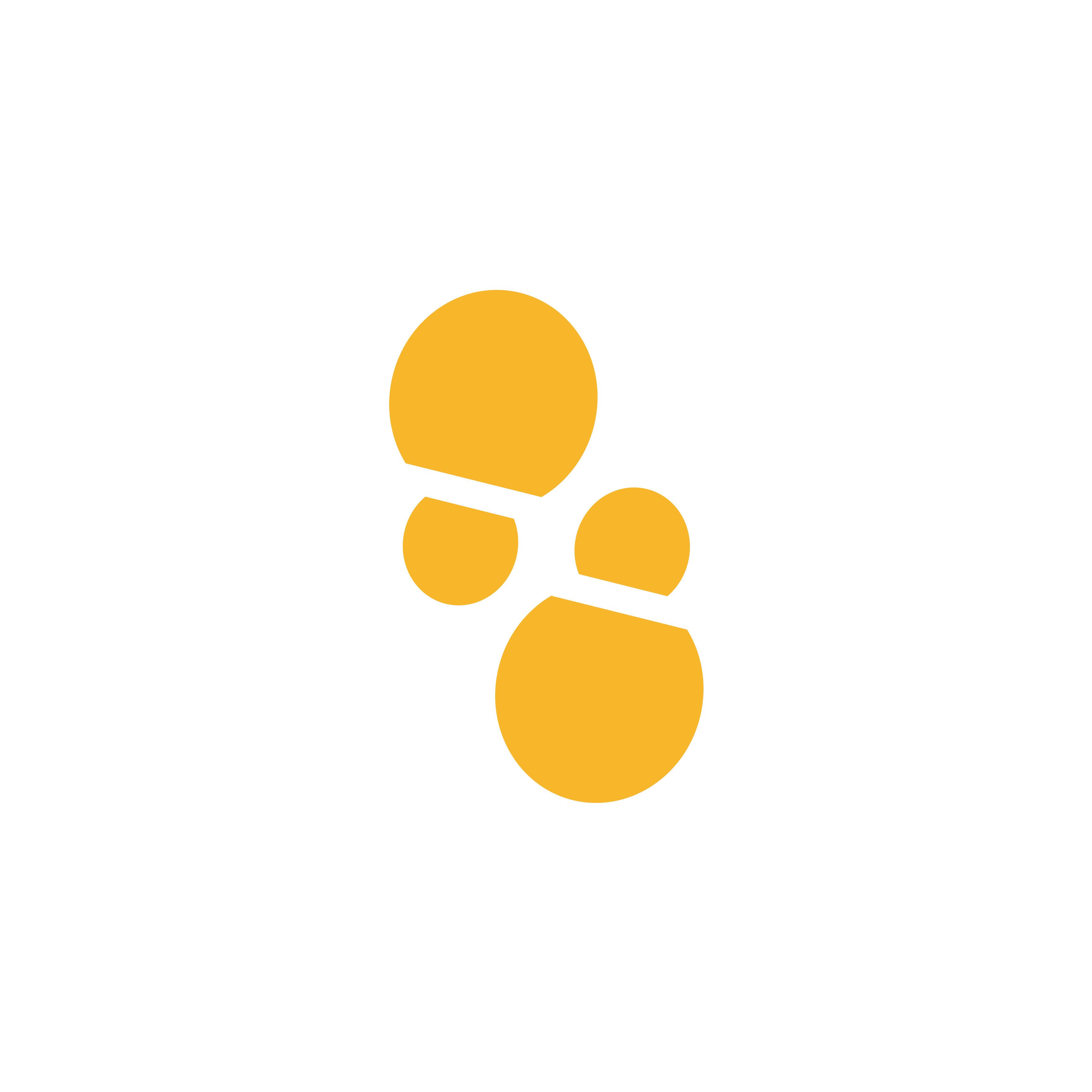 Nanjing Bai En Import and Export Trade Co., Ltd.