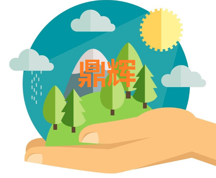 Qinghai Dinghui Mining co., ltd