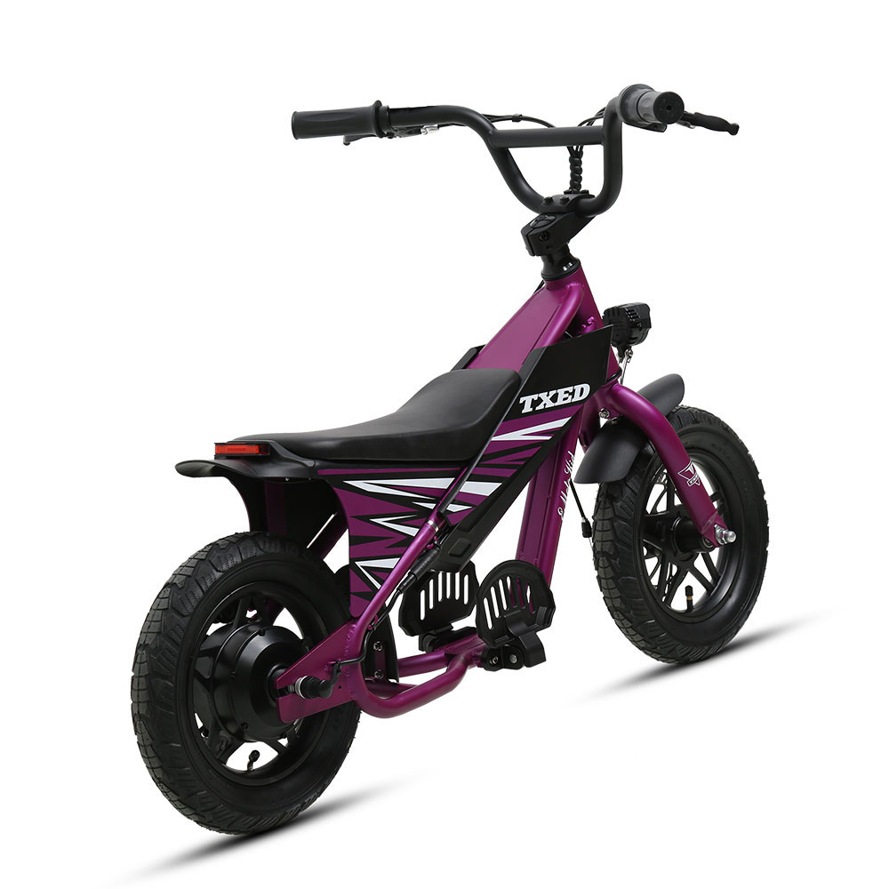 TXED 12 Inch Fat Tire Bike Electric Motor Dirt Bike 250W Electric Bicycle Mini Motorcycle for Kids