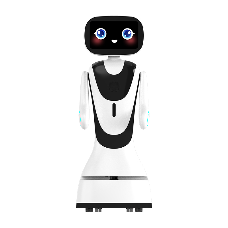 Alpha Robotics Timo Welcome and Lead the Way