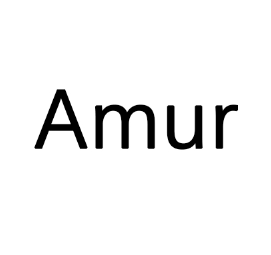 Heilongjiang Amur Energy Engineering Co., Ltd.