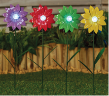 Yunnan Focus Flower Planting Co., LTD. – portarretrato 3