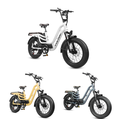 Xiaohe Electric TechnologyTianjinCo.,Ltd – cadena de bicicleta 1