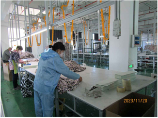 Jiande Feiyang Home Textile Co., Ltd. – flannel 2