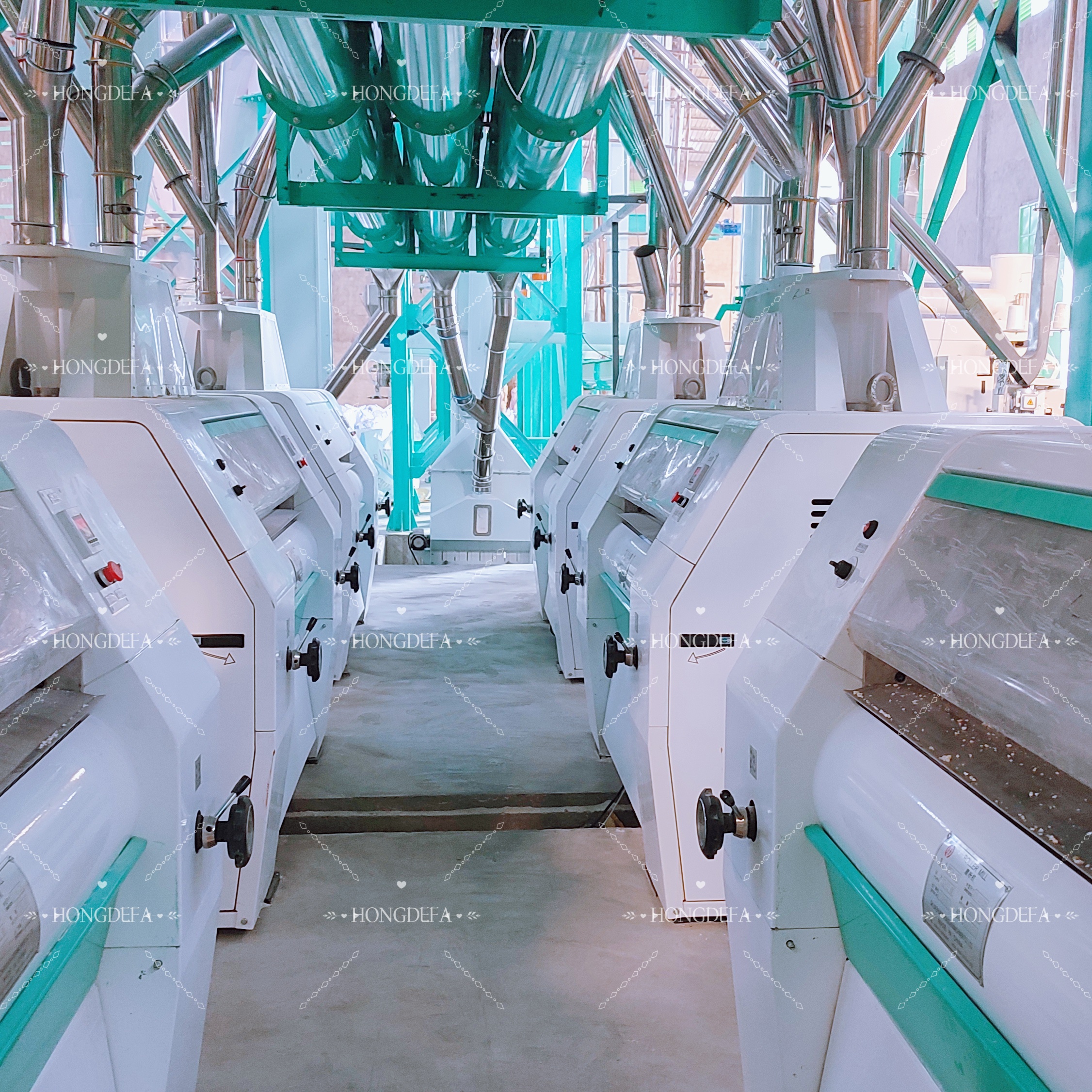 Automatic High Quality 240T/24H Maize Flour Milling Machine