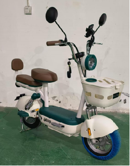 NANJING TANSON GROUP CO., LTD. – Electric Tourist Cars 3