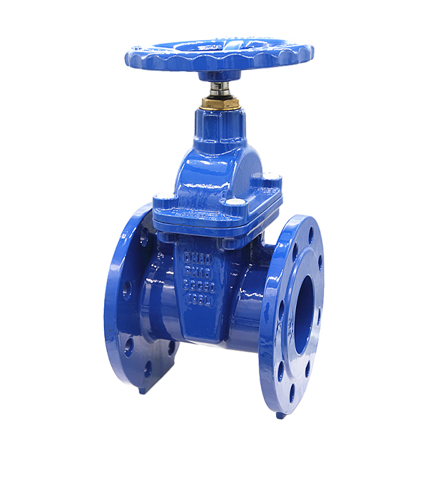 FOWRY Tech(Shandong) Co.,Ltd. – molde de inyección 1