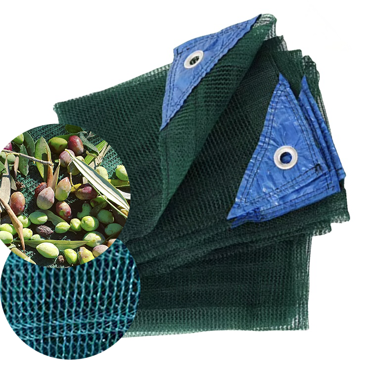 olive net