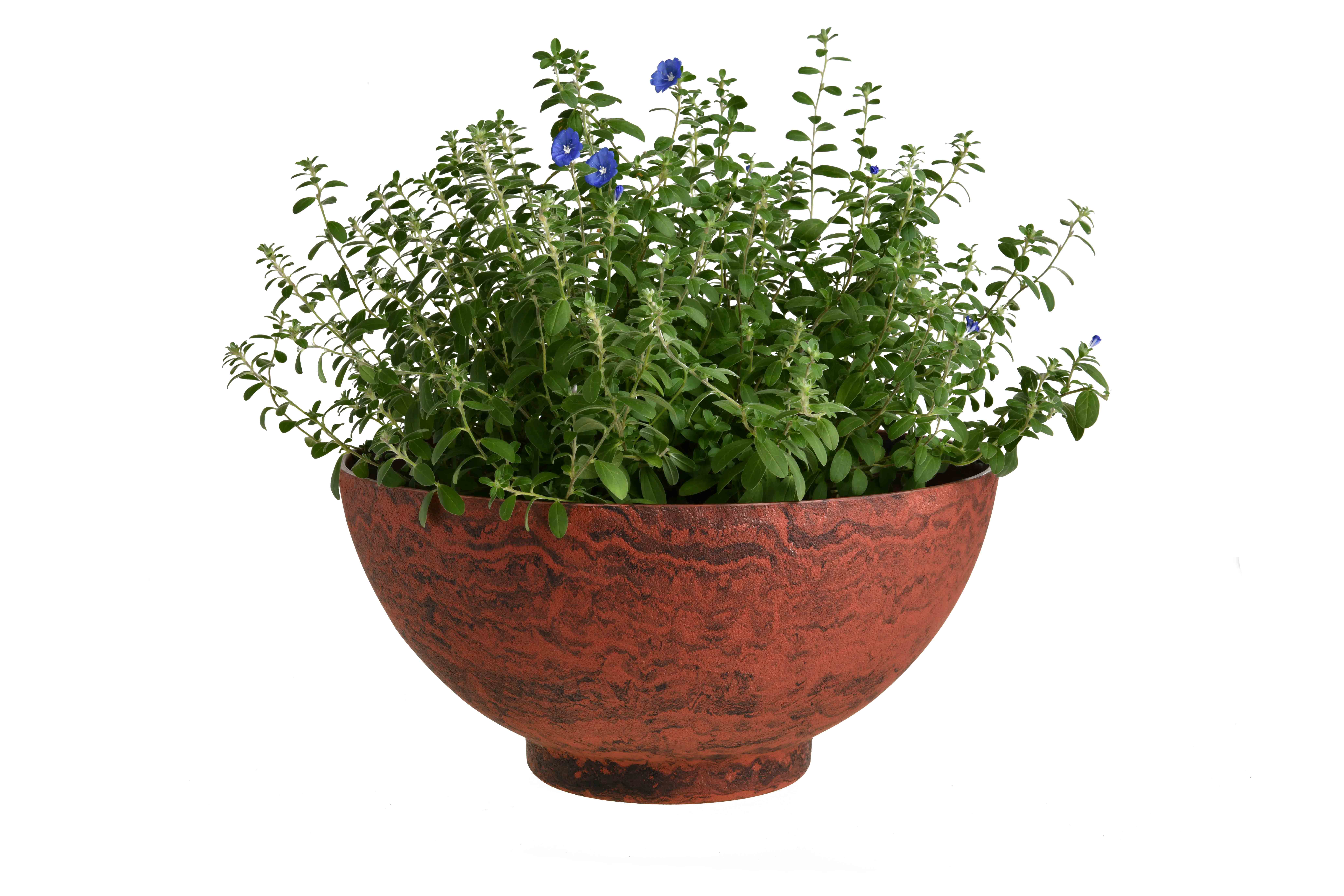 Flowerpot