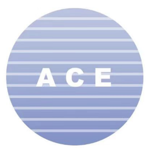 XIAMEN ACE IMPORT AND EXPORT CO., LTD