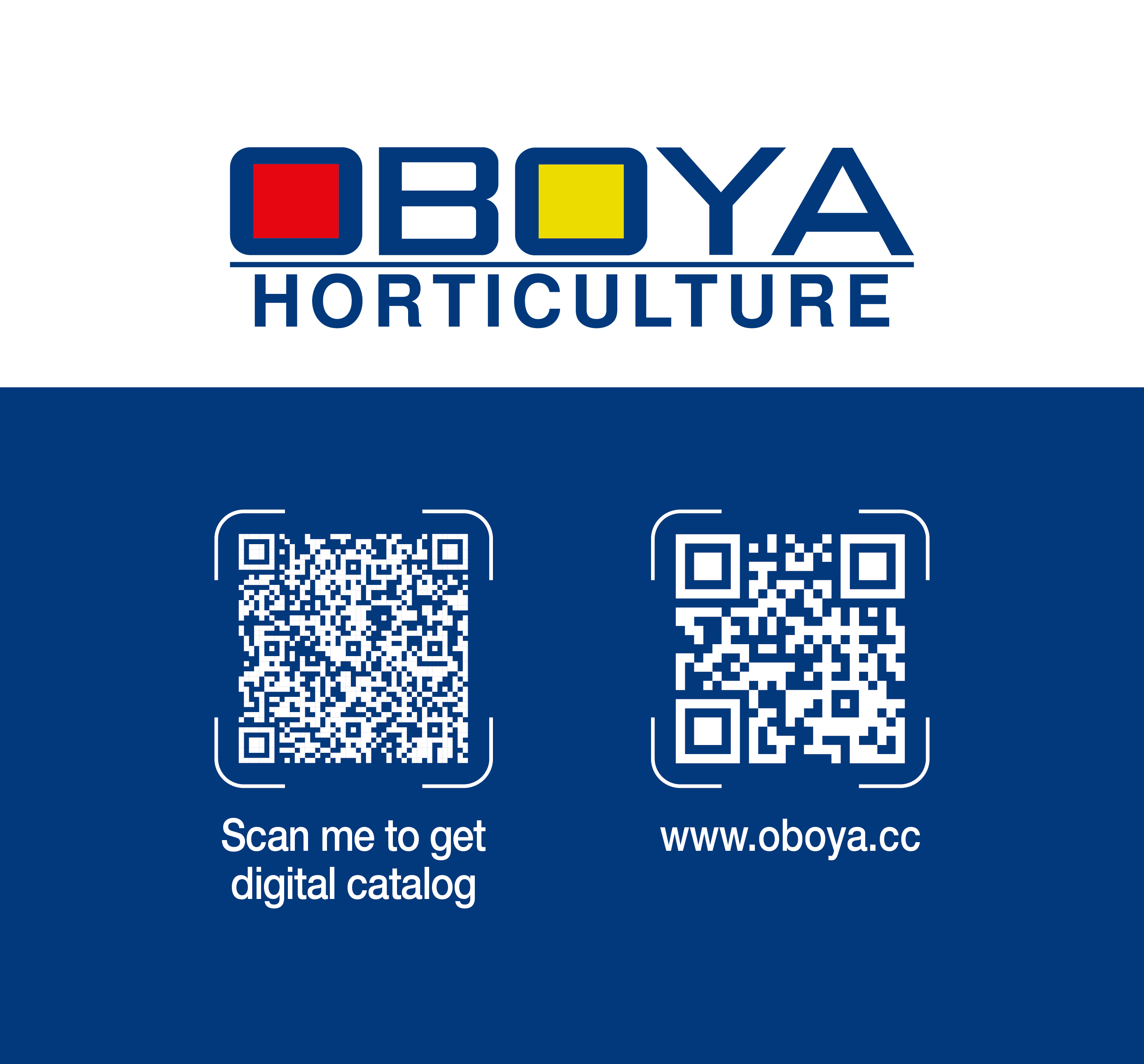Qingdao Oberya Solomon Packaging Co., Ltd.