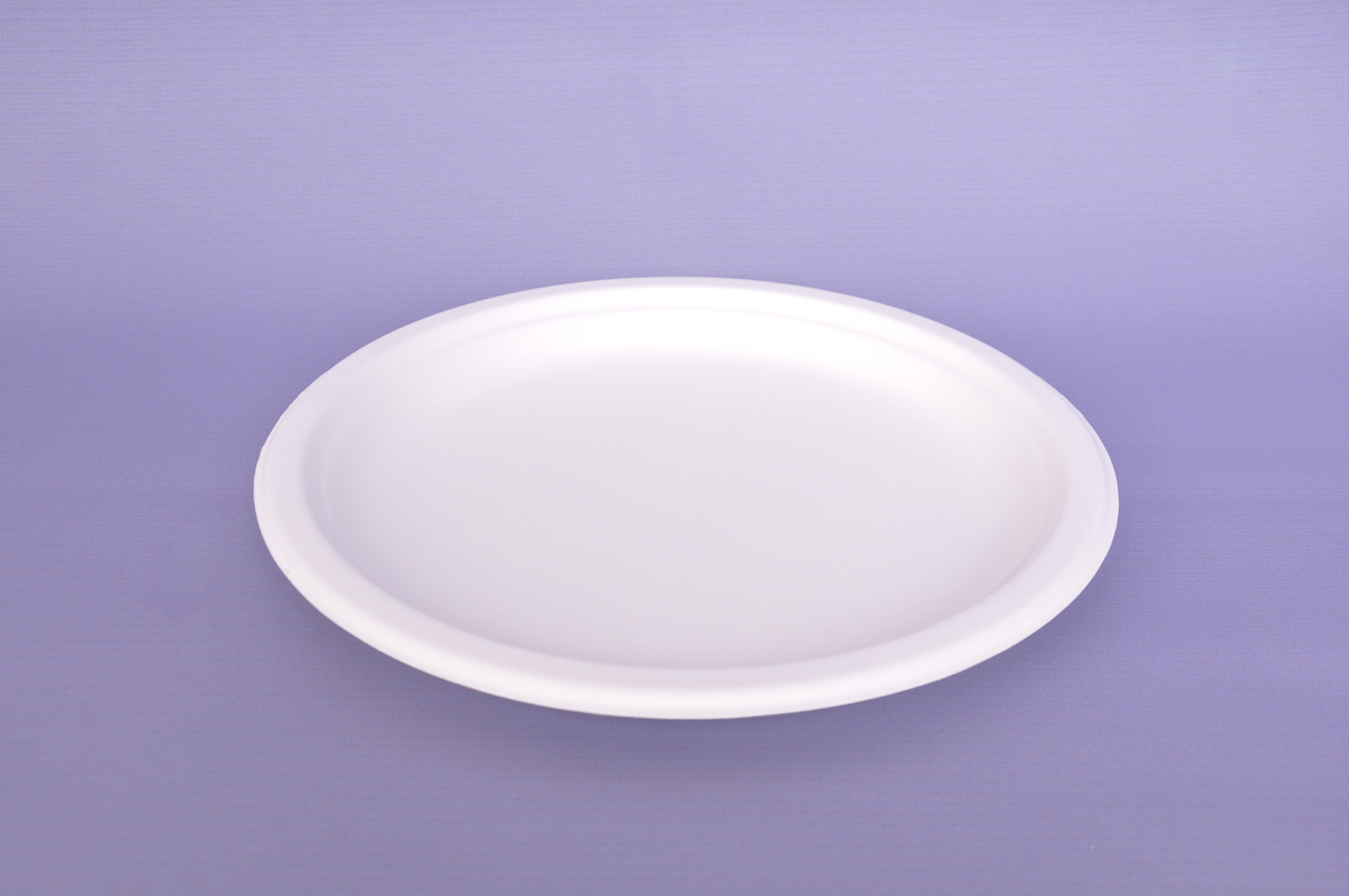 Sugarcane Plate