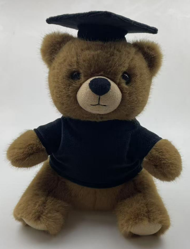Doctor bear