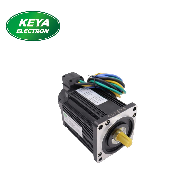 80mm 130mm 200mm 48v 96v 750w 1000w High Torque Bldc Motor Brushless Servo Motor for Robot AGV
