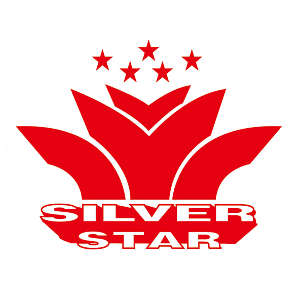 YANGJIANG SILVER STAR TRADING COMPANY LTD.
