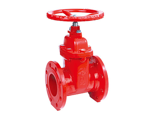 Ductile iron valve