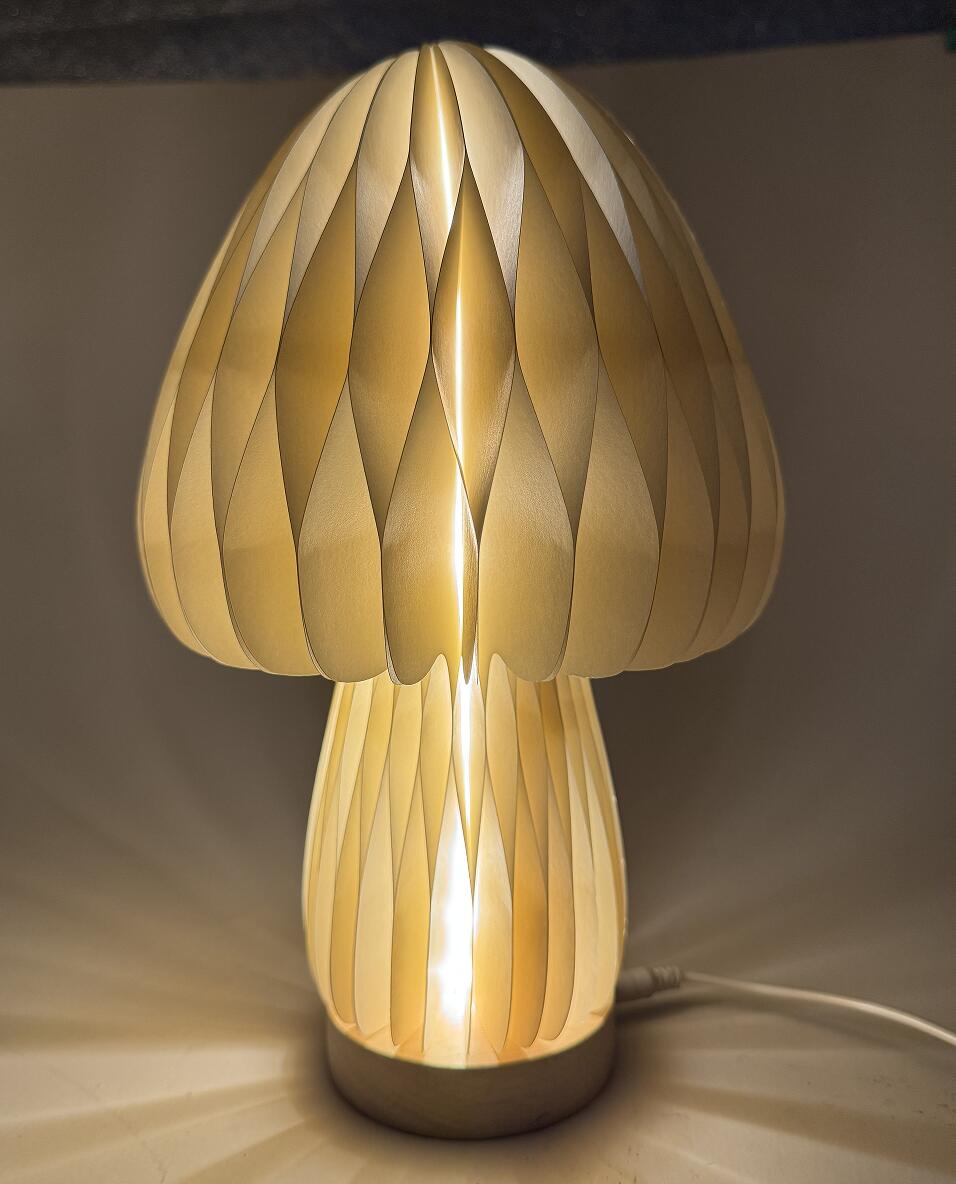 Paper lamps