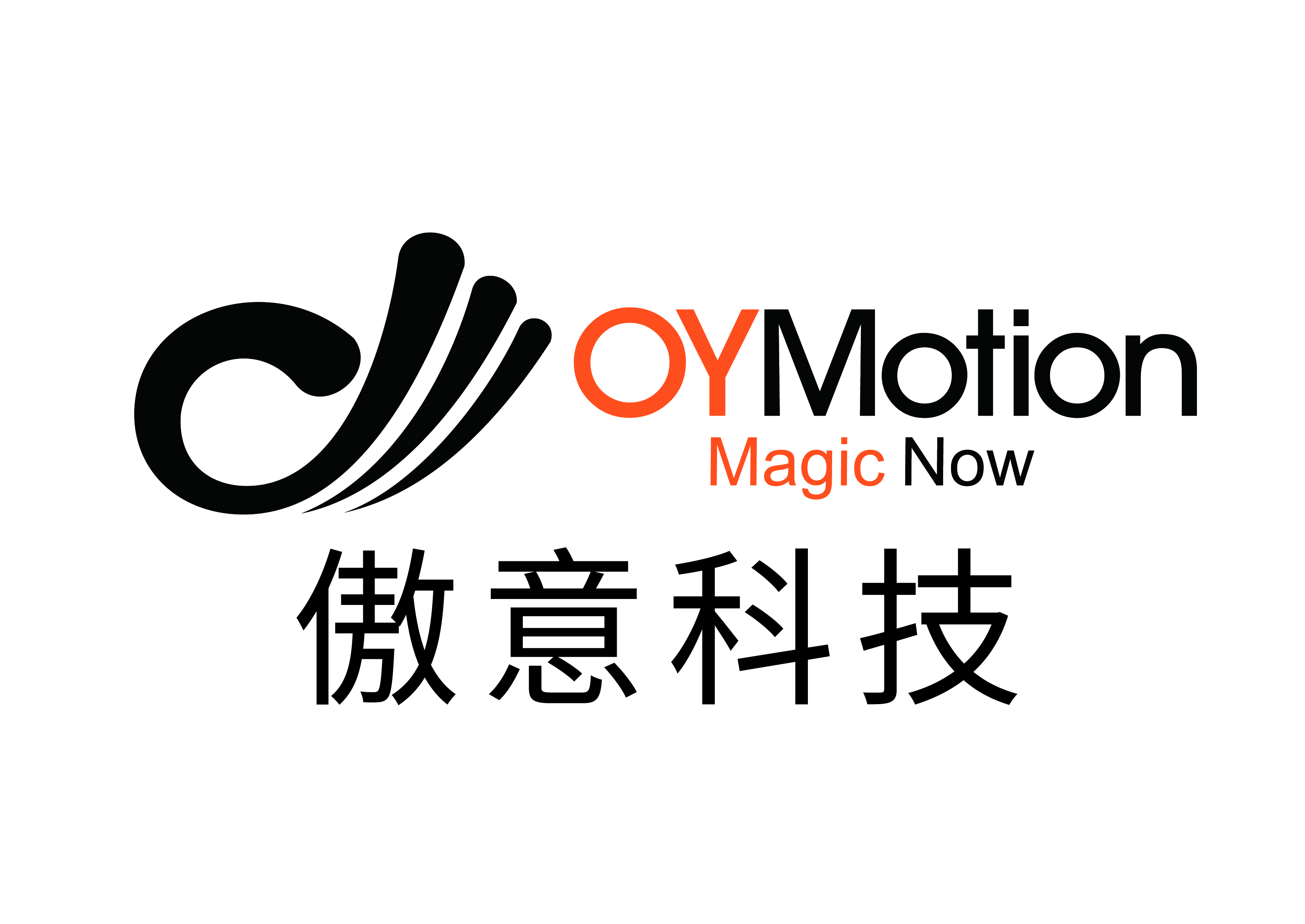 Shanghai Aoyi Information Technology Co., Ltd.