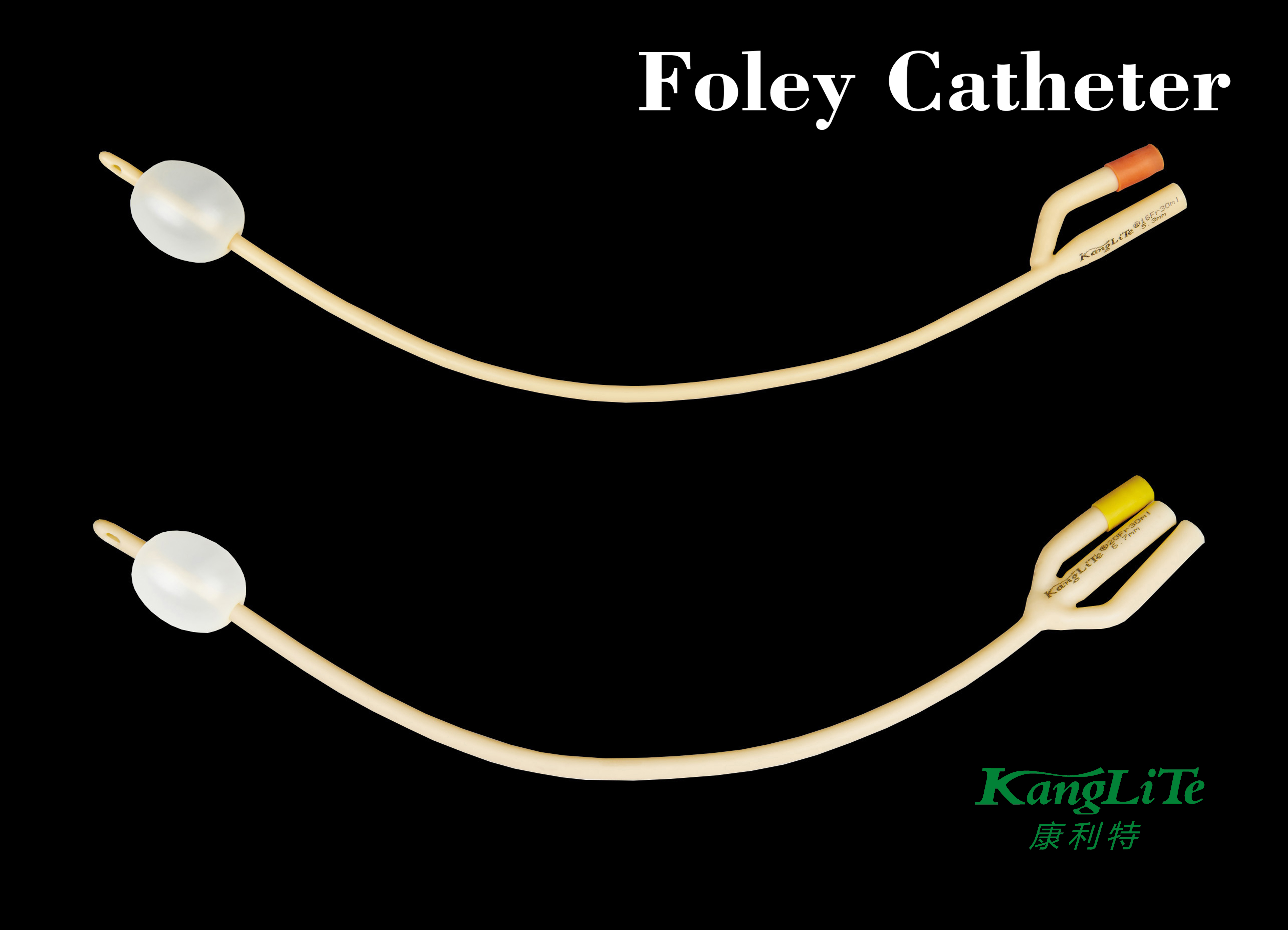 Foley catheter