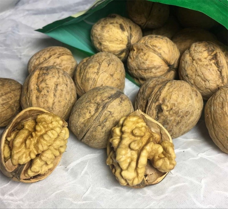 Xinjiang Halin Food Import and Export Co., Ltd – bicicleta de montaña 3