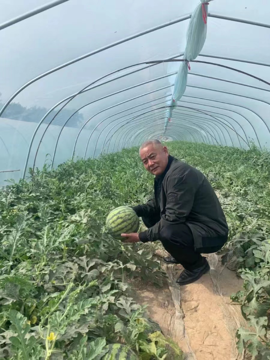 Greenhouse Film