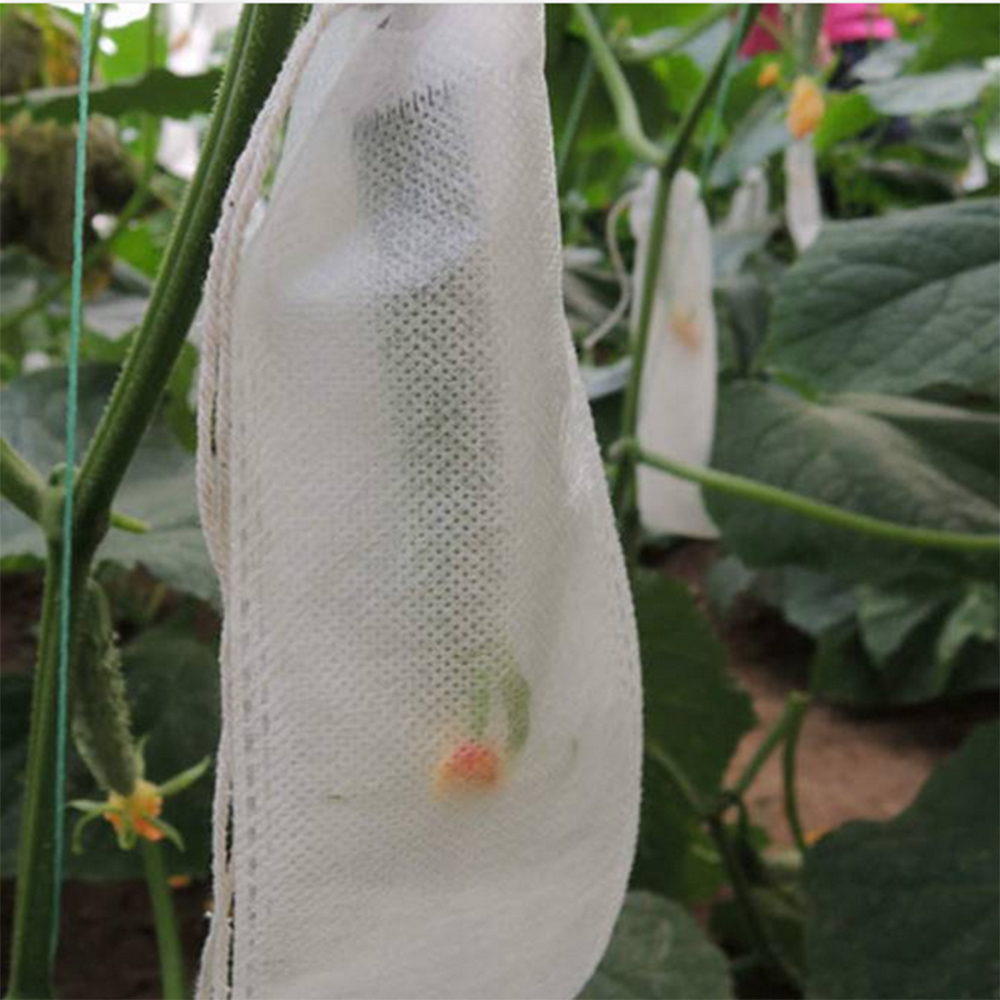 Pp nonwoven plant cover