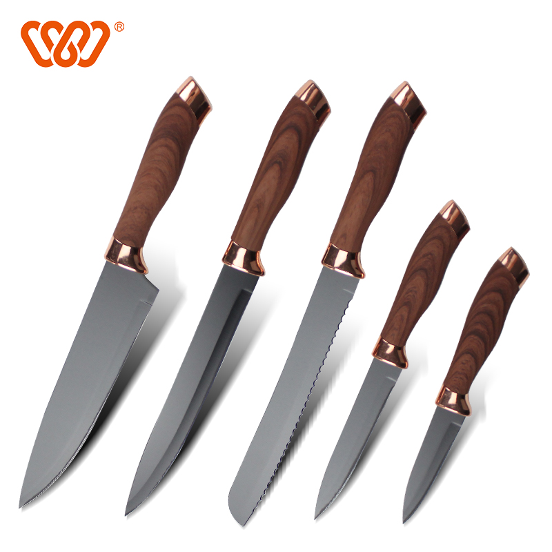 Wins 5pcs stainless steel kitchen knife set with wooden handle