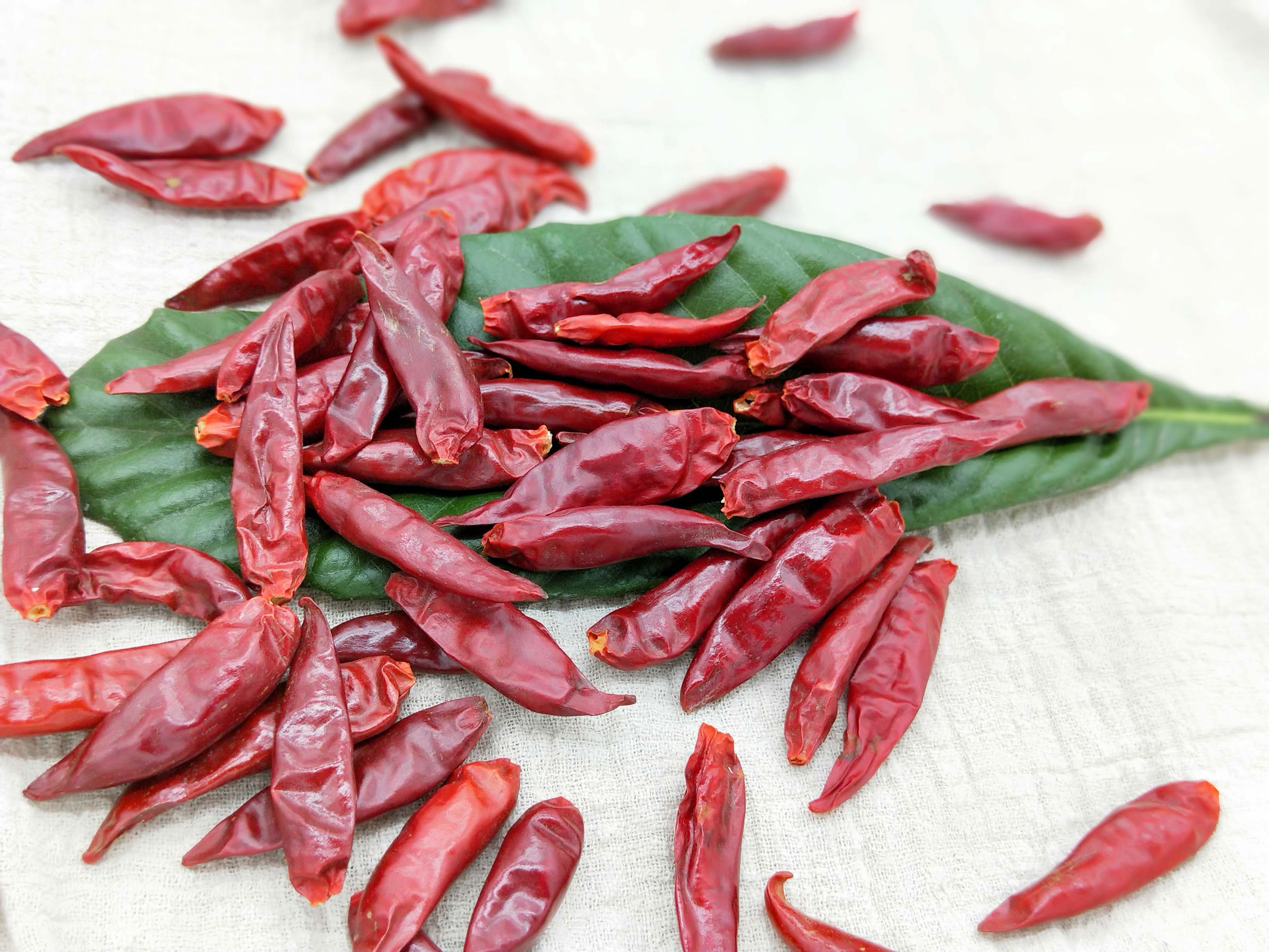 Dried Chili