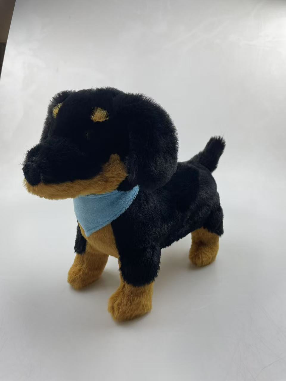 Dog with Scarf