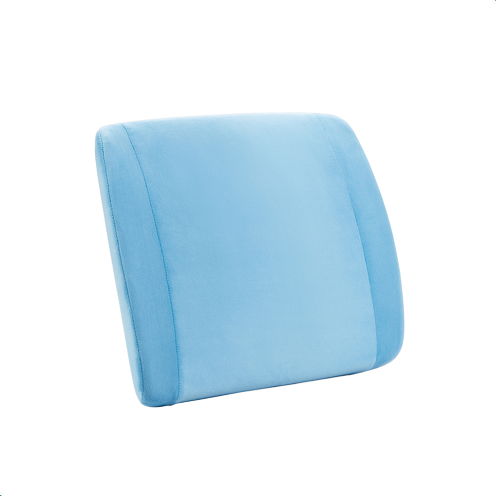 Dujia Lumbar Pillow Memory Foam Backrest