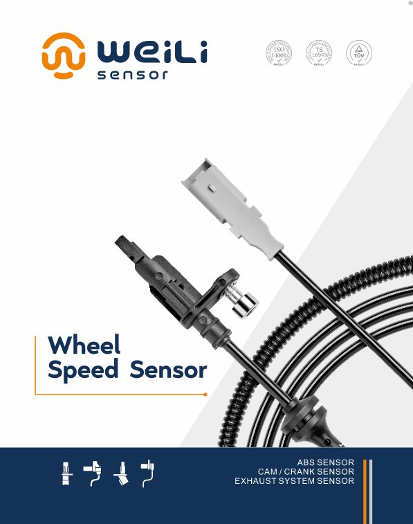 WENZHOU WEILI CAR FITTINGS CO.,LTD – llanta de caucho 2