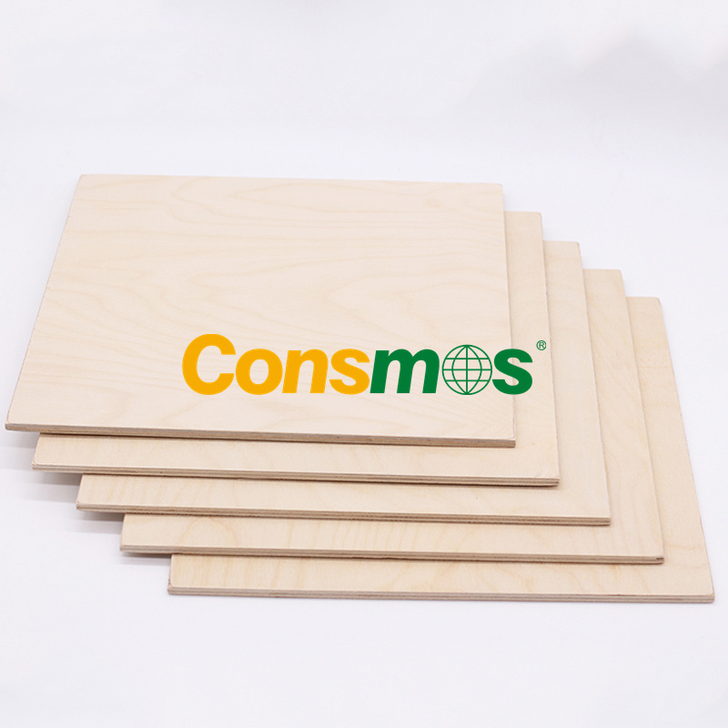 CONSMOS Good Quality and Best Price Birch Plywood