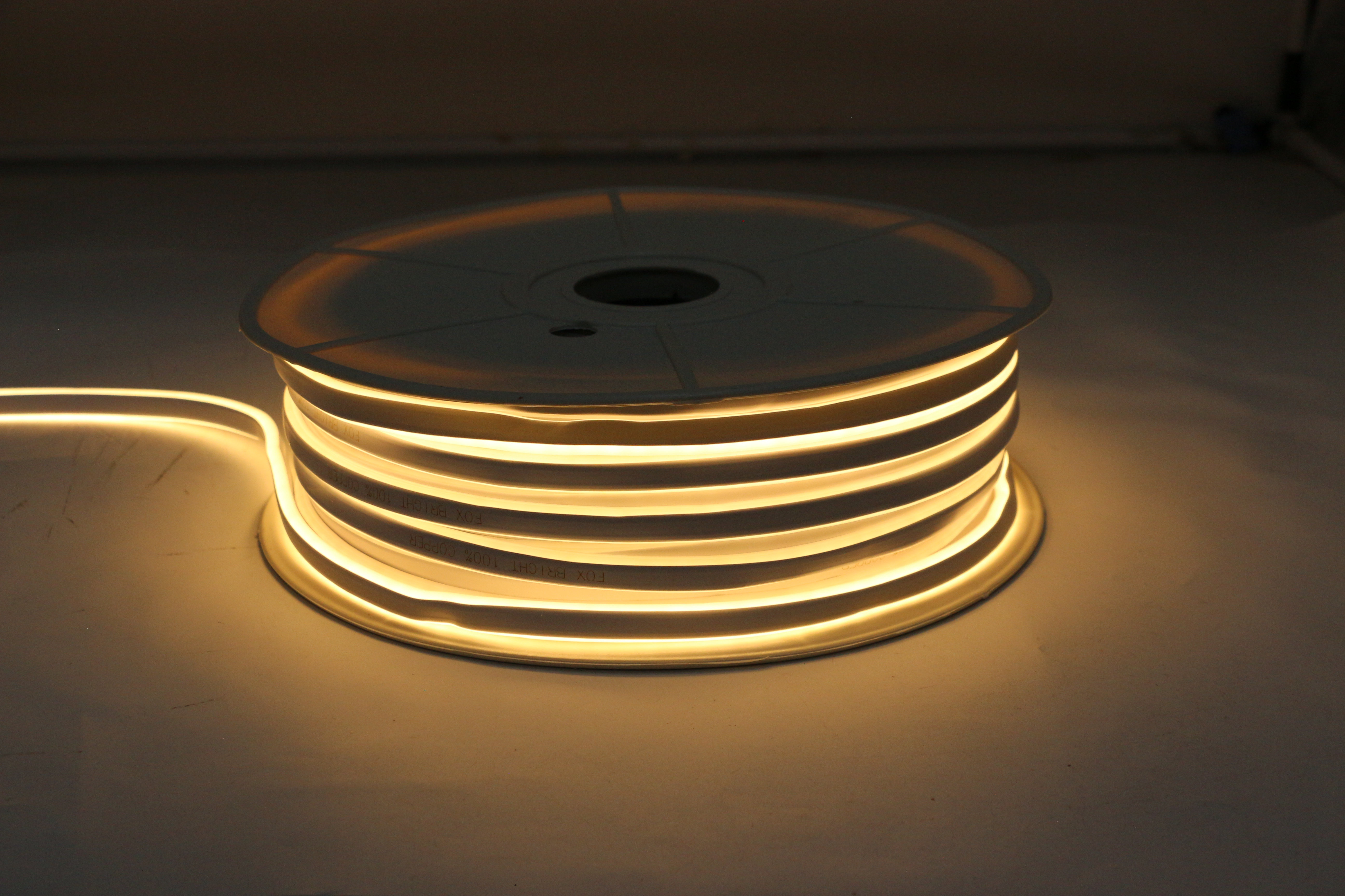 Led neon light