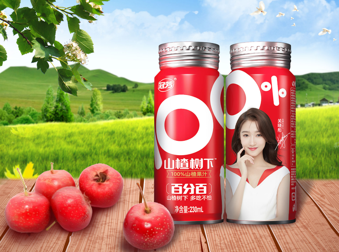 Tianjin Guanfang juice Co., Ltd – Other fruit products 3
