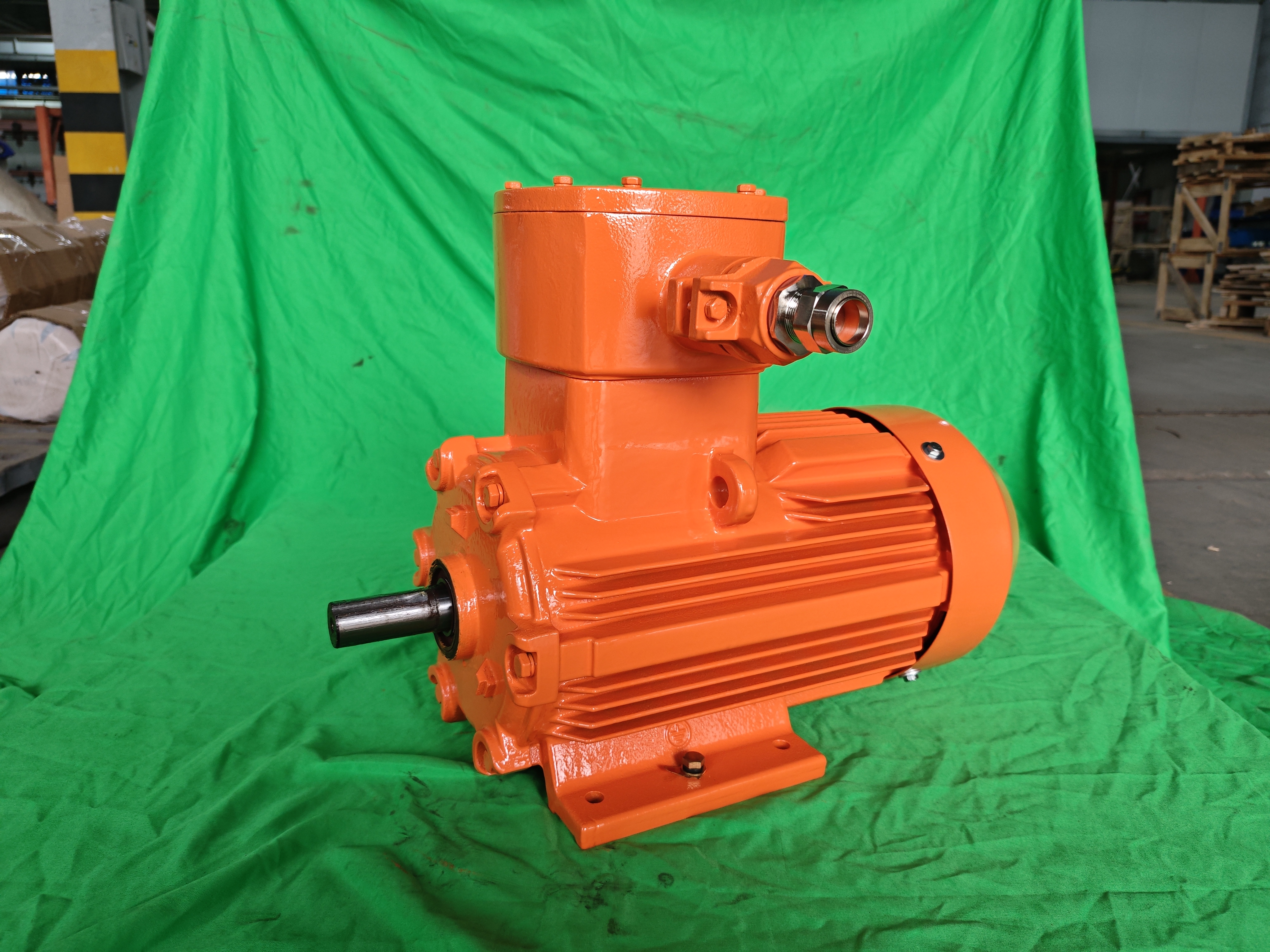 Ex Motor