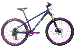 GALAXY BICYCLE CO., LTD. – Luggage Cart 1